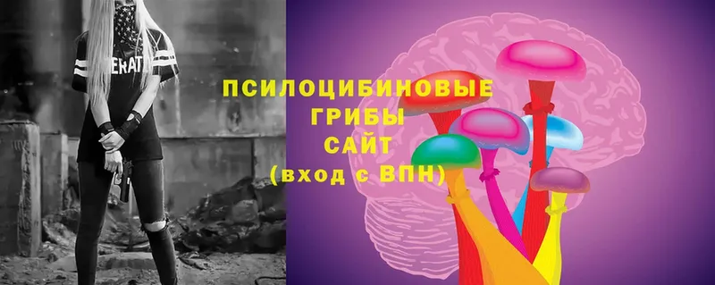 Галлюциногенные грибы Magic Shrooms  наркотики  Тула 